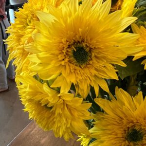 Focal Flowers