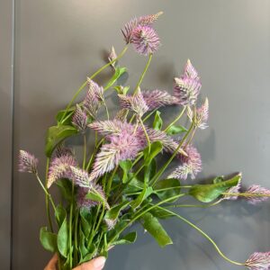 Airy Accents